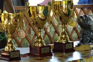 ИТОГИ СПОРТИВНОГО СЕЗОНА 2016